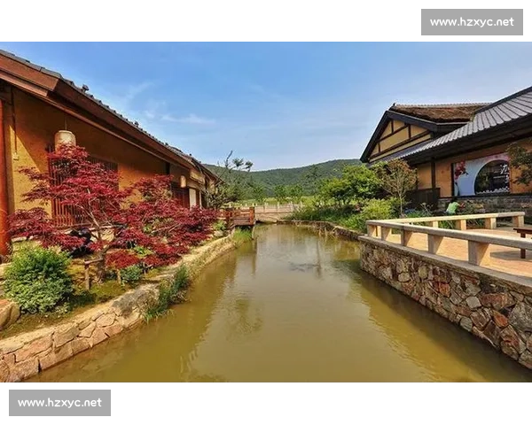 名宿发声引热议聚焦行业变局与未来方向深度解读权威视角下的时代思考